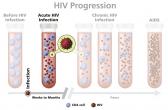 Graph of acute HIV infection that extends approximately 2 to 4 weeks until the body produces enough HIV antibodies to be detected by a test.